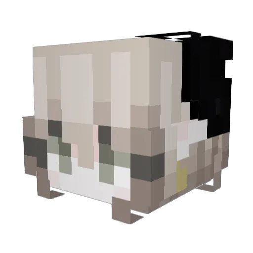 dldhsk88 Minecraft avatar head, 3D render