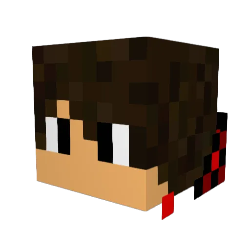dldnals Minecraft avatar head, 3D render