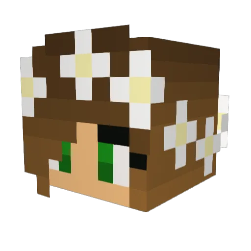 dleeth Minecraft avatar head, 3D render