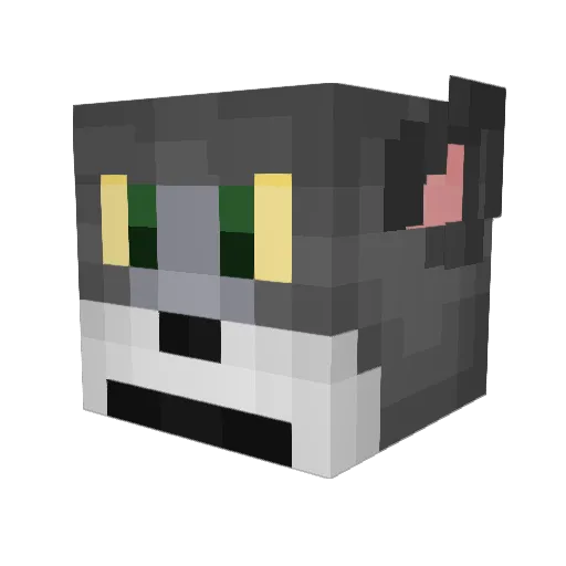 dlgodnr Minecraft avatar head, 3D render