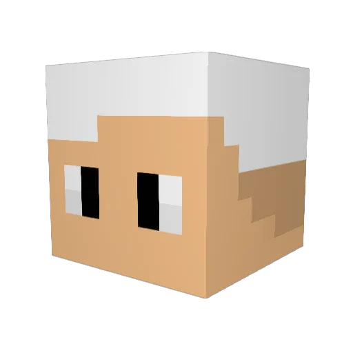 dllcl0wn Minecraft avatar head, 3D render