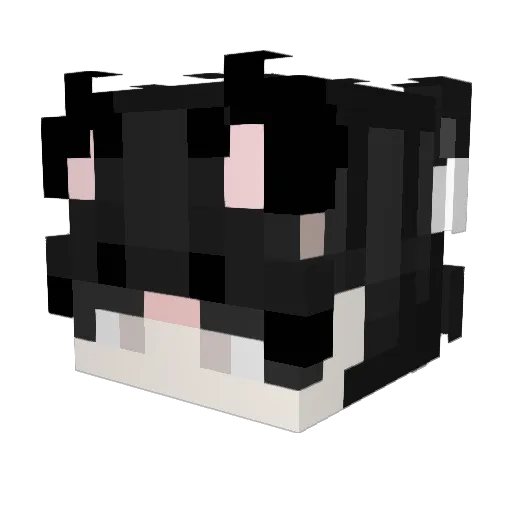 dllvy Minecraft avatar head, 3D render