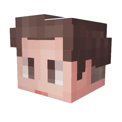dlrjswnsla Minecraft avatar head, 3D render