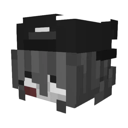 dltkr711 Minecraft avatar head, 3D render
