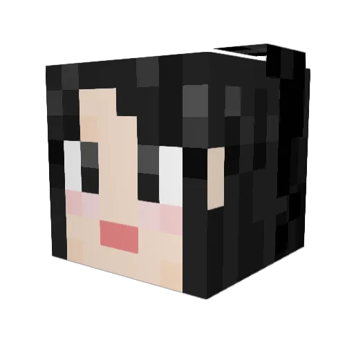 dlwldk Minecraft avatar head, 3D render
