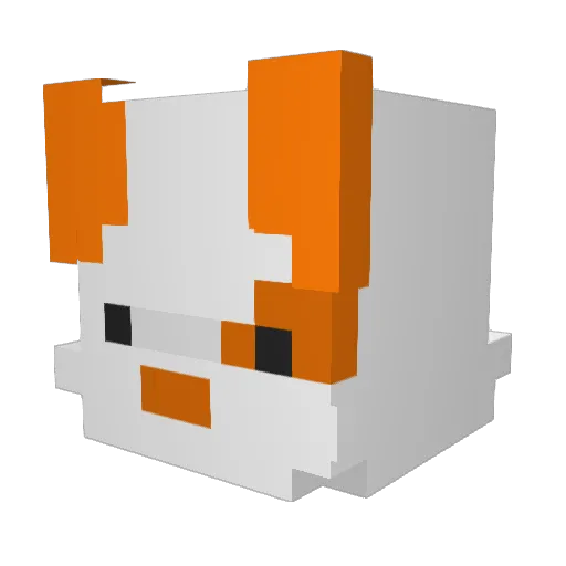 dlwnstj14 Minecraft avatar head, 3D render