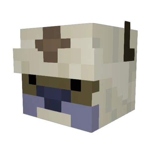 dmailloux Minecraft avatar head, 3D render