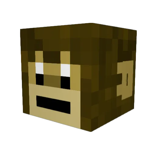 dman1970tak Minecraft avatar head, 3D render