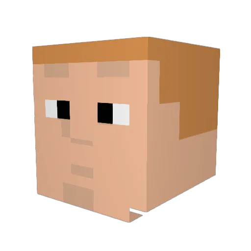 dmcgil Minecraft avatar head, 3D render