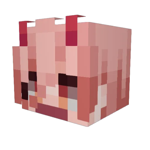 dmdd0 Minecraft avatar head, 3D render