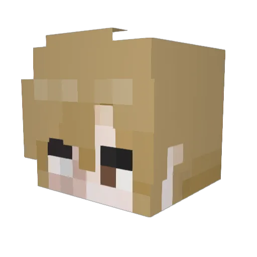 dmddo0327 Minecraft avatar head, 3D render