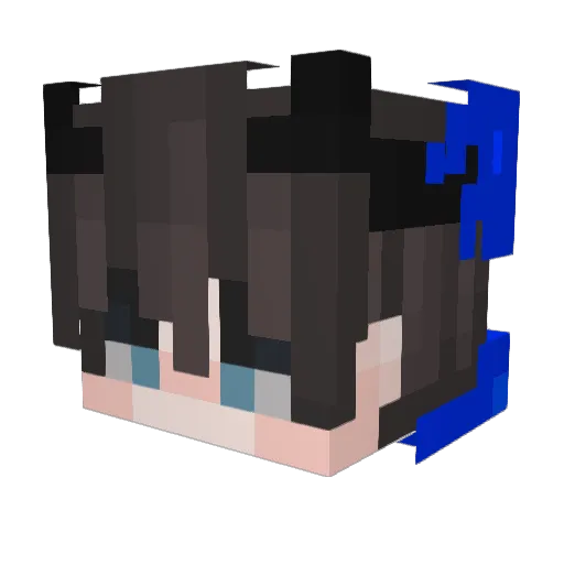 dmdkzl Minecraft avatar head, 3D render
