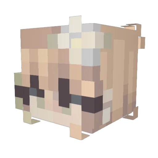 dmeh_ Minecraft avatar head, 3D render