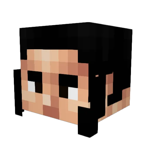 dmelly Minecraft avatar head, 3D render