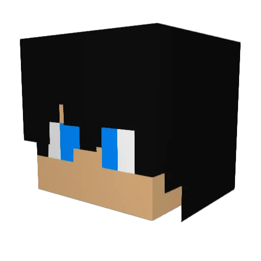dmhj123 Minecraft avatar head, 3D render