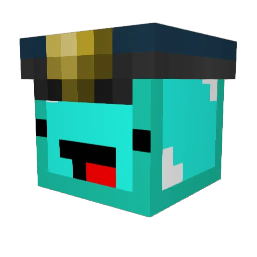 dmisland Minecraft avatar head, 3D render