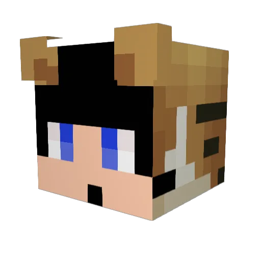 dmlwls01 Minecraft avatar head, 3D render