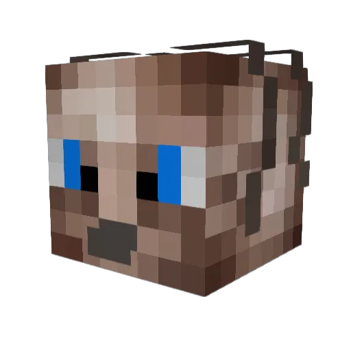 dmocs Minecraft avatar head, 3D render