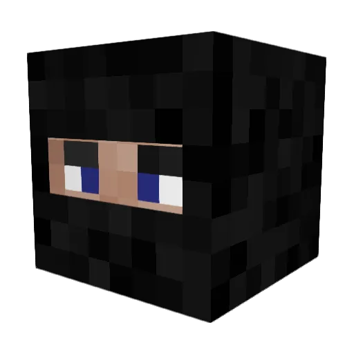 dmoney0143 Minecraft avatar head, 3D render