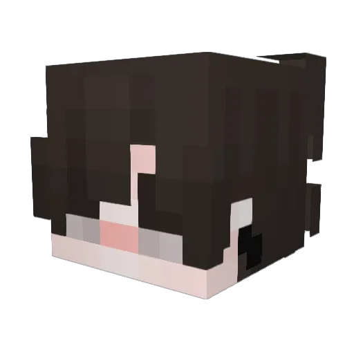 dmseey Minecraft avatar head, 3D render