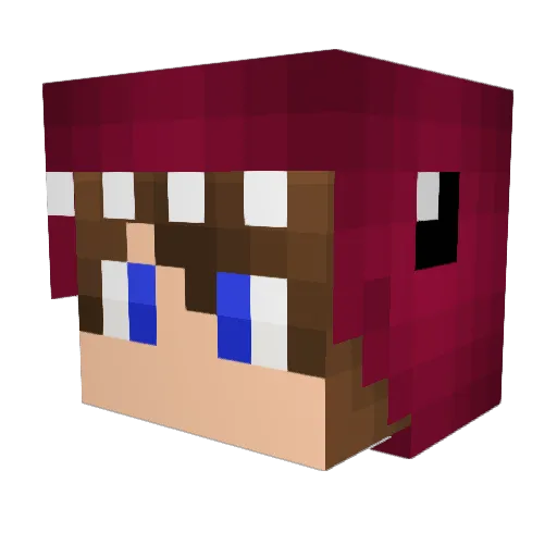 dmsliderTim Minecraft avatar head, 3D render