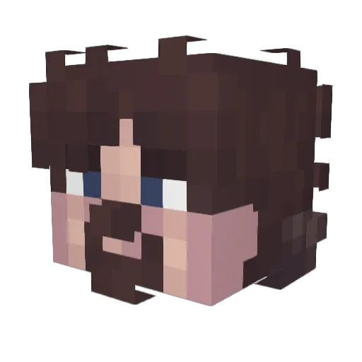 dmstRR_ Minecraft avatar head, 3D render