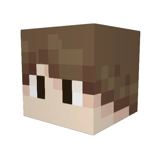 dmt_ninja_420 Minecraft avatar head, 3D render