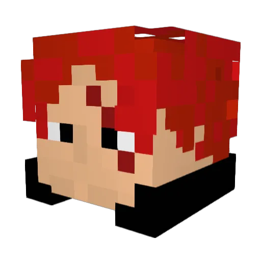 dmuiwnasdkw Minecraft avatar head, 3D render
