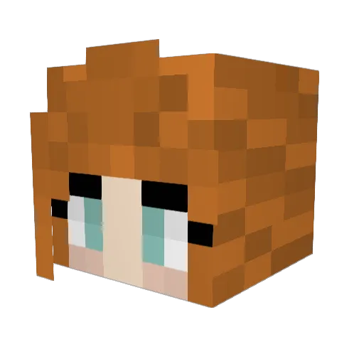 dmvita Minecraft avatar head, 3D render