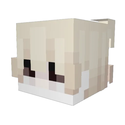 dmws2 Minecraft avatar head, 3D render