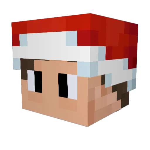 dn1ande Minecraft avatar head, 3D render