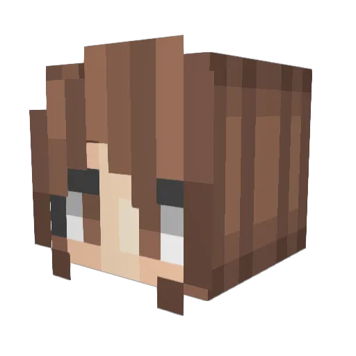 dnZj Minecraft avatar head, 3D render