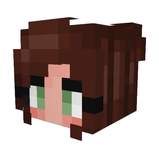 dna337 Minecraft avatar head, 3D render