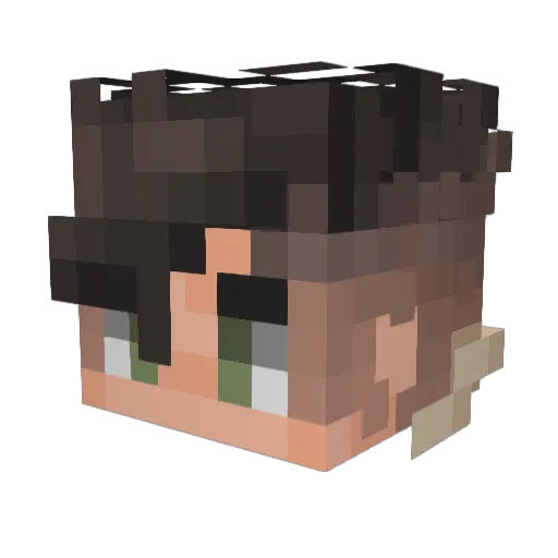 dnd204 Minecraft avatar head, 3D render