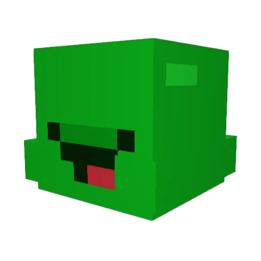 dndndndndnd Minecraft avatar head, 3D render