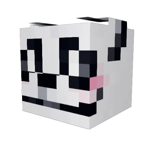 dndryan Minecraft avatar head, 3D render