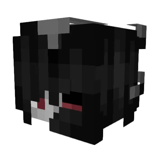 dnga Minecraft avatar head, 3D render