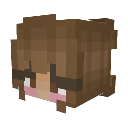 dniek Minecraft avatar head, 3D render