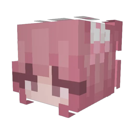 dnjdhehhxhjad Minecraft avatar head, 3D render