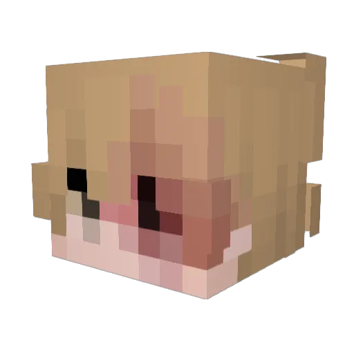 dnjz Minecraft avatar head, 3D render
