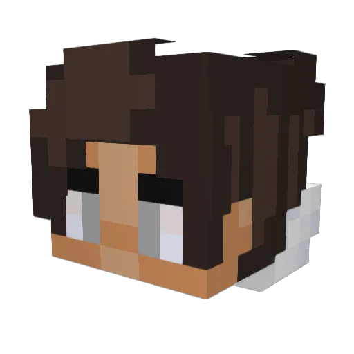 dnk1412 Minecraft avatar head, 3D render