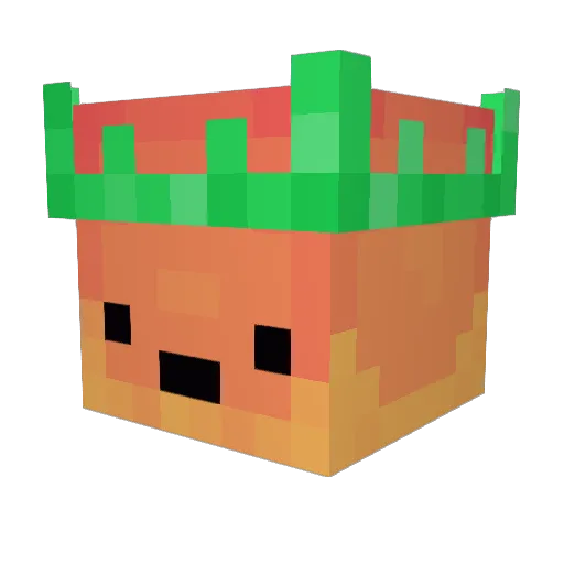 dnndn Minecraft avatar head, 3D render