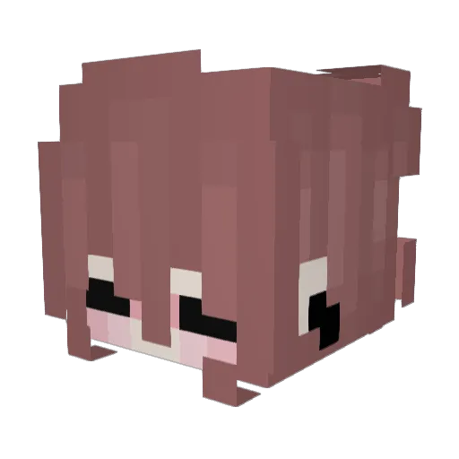 dnoprobito Minecraft avatar head, 3D render
