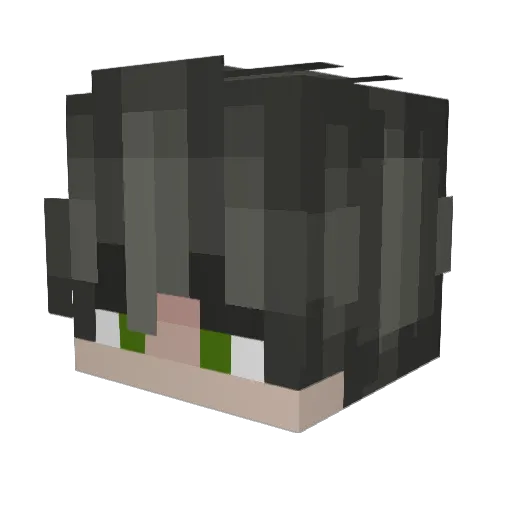 dnrt9 Minecraft avatar head, 3D render