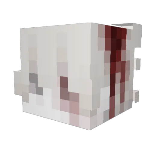 dnsre Minecraft avatar head, 3D render
