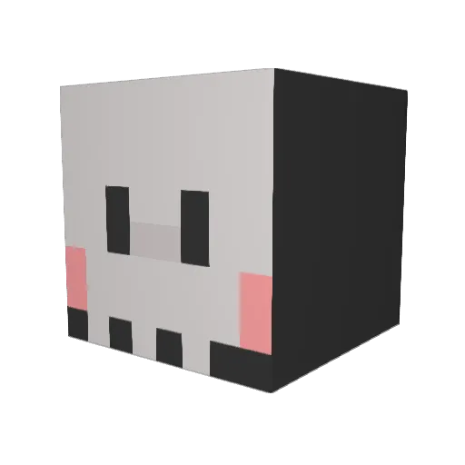 dntwnna Minecraft avatar head, 3D render