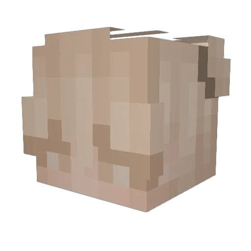 dnvide Minecraft avatar head, 3D render