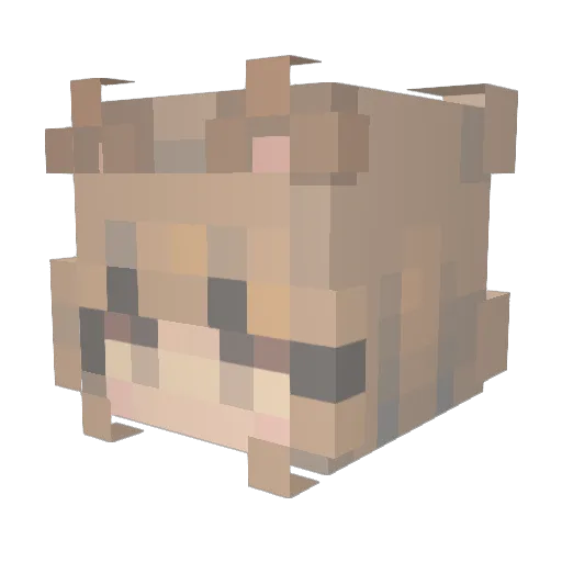dnwo_09 Minecraft avatar head, 3D render