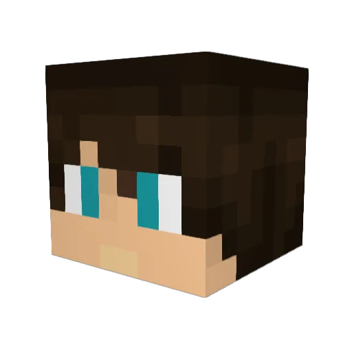 do1or1die Minecraft avatar head, 3D render