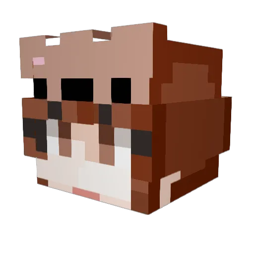 do_c0 Minecraft avatar head, 3D render